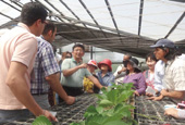 KOPIA bridges Korea and the world through agricultural cooperation