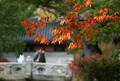 Perfect autumn weather in Seoul