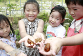 New park invites visitors to world of insects