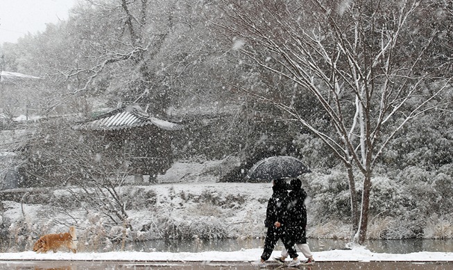 Heavy snow on pedestrian path in provincial town